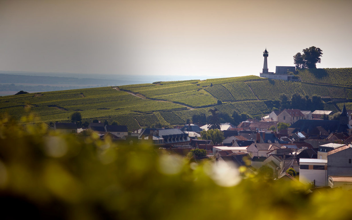 Champagne Cellar Seminar