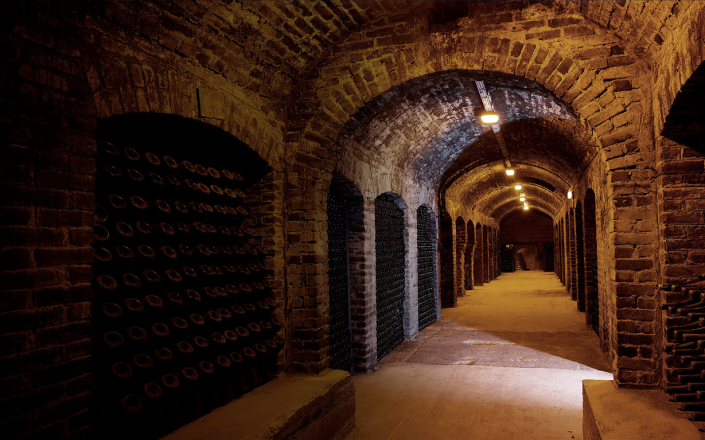 Champagne Cellar Seminar